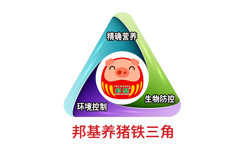 邦基養豬鐵三角